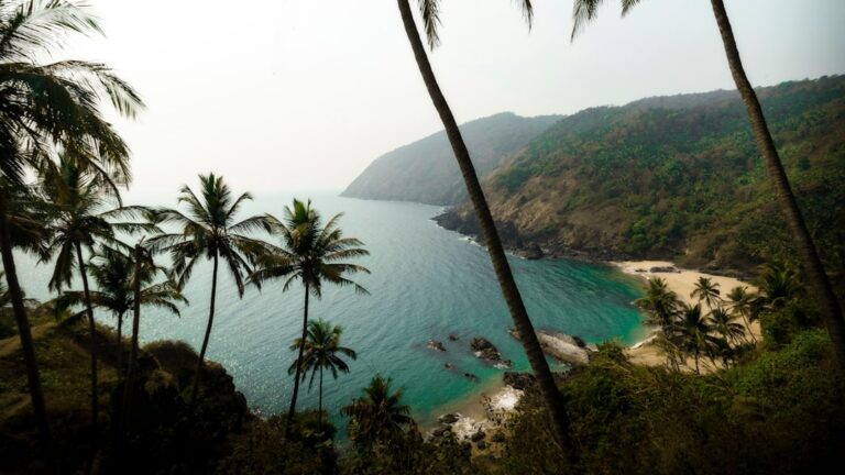 Photo Tropical beach