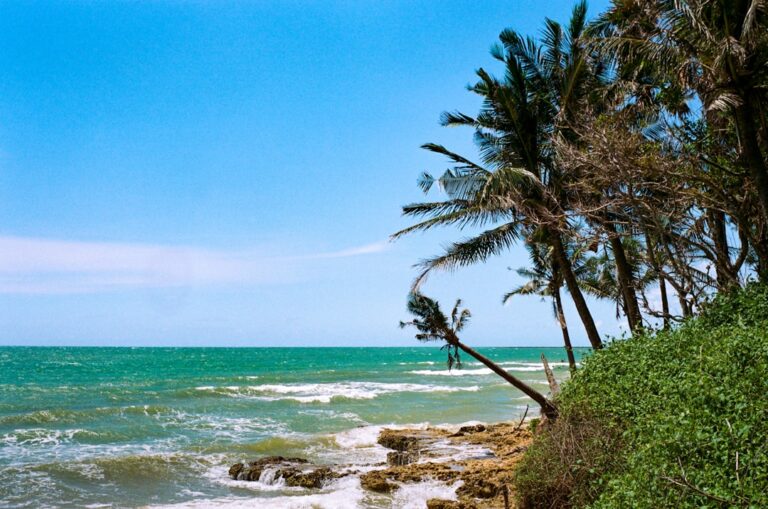 Photo Tropical beach