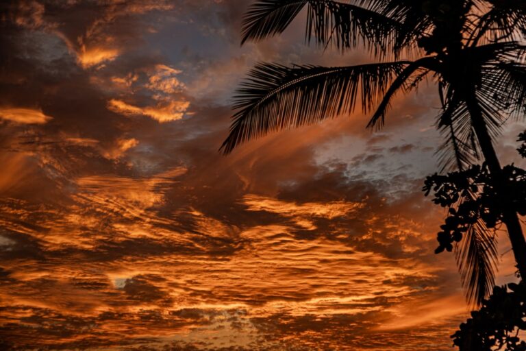 Photo Tropical sunset