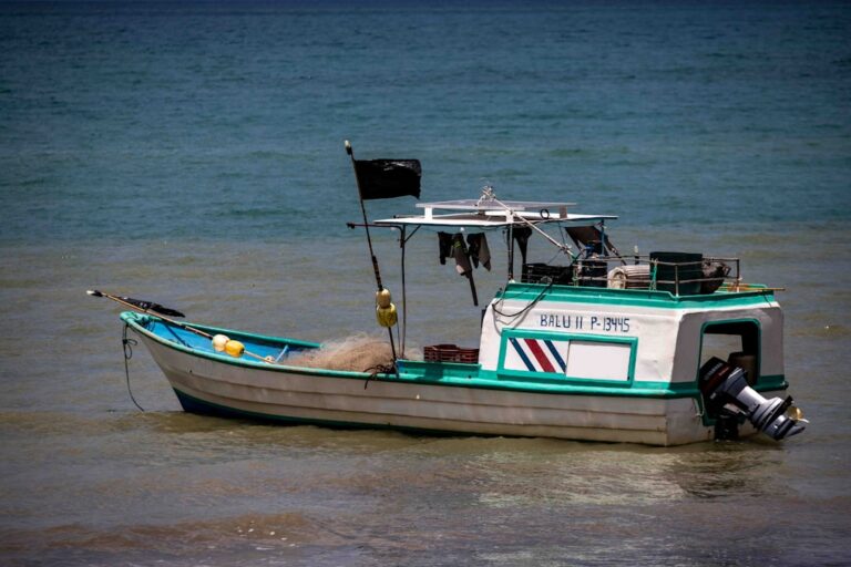 Photo Tropical paradise