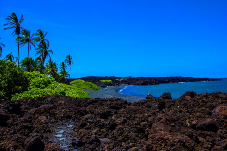 Photo Tropical paradise