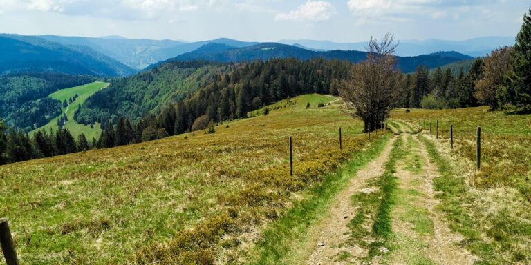 Photo hiking trails in Transylvania