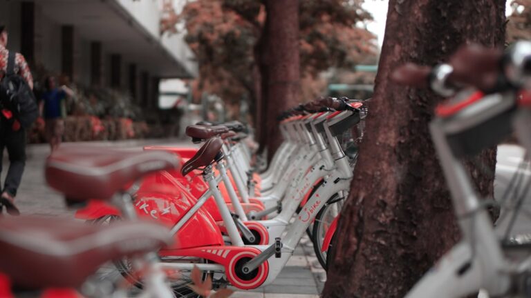 Photo renting bicycles