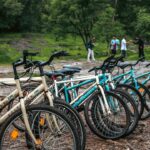 Photo bicycle road tires