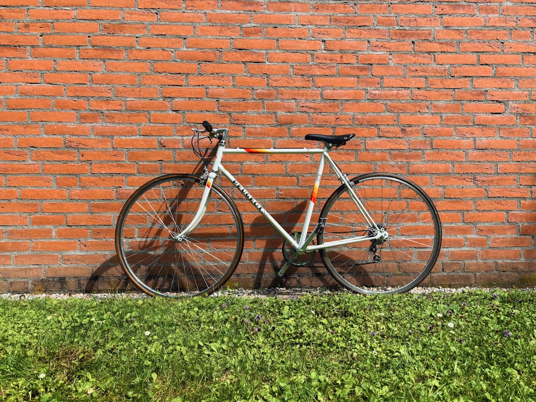 Photo bicicleta potrivită