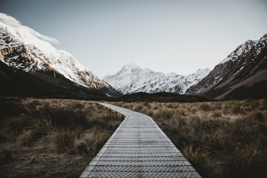 Photo path to success concept