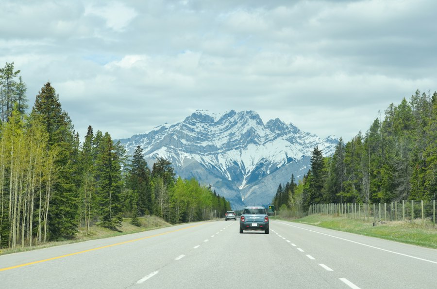 Photo road travel guide experts data 2024