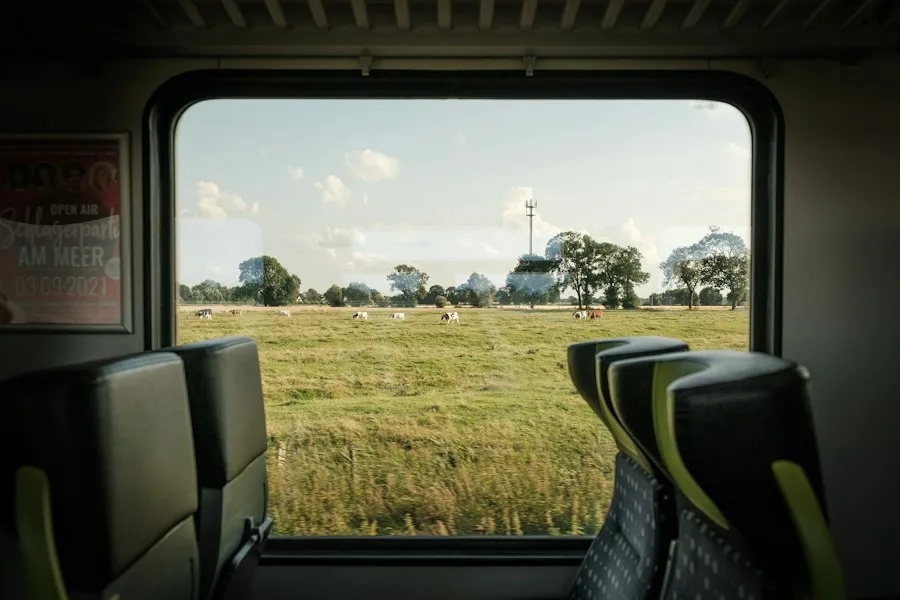 train travel tips