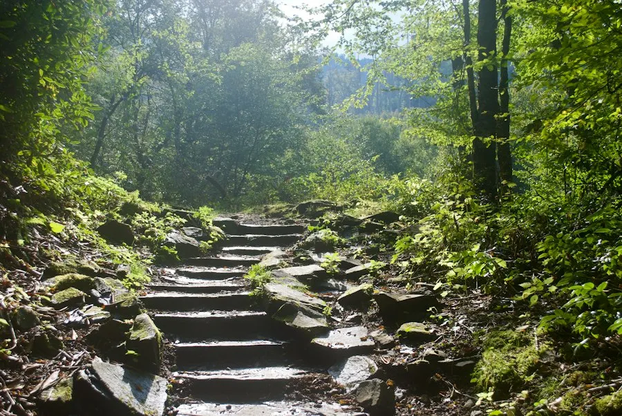 Photo common hiking trail mistakes